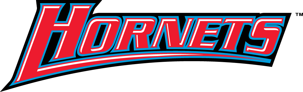 Delaware State Hornets 2004-Pres Wordmark Logo v3 diy DTF decal sticker